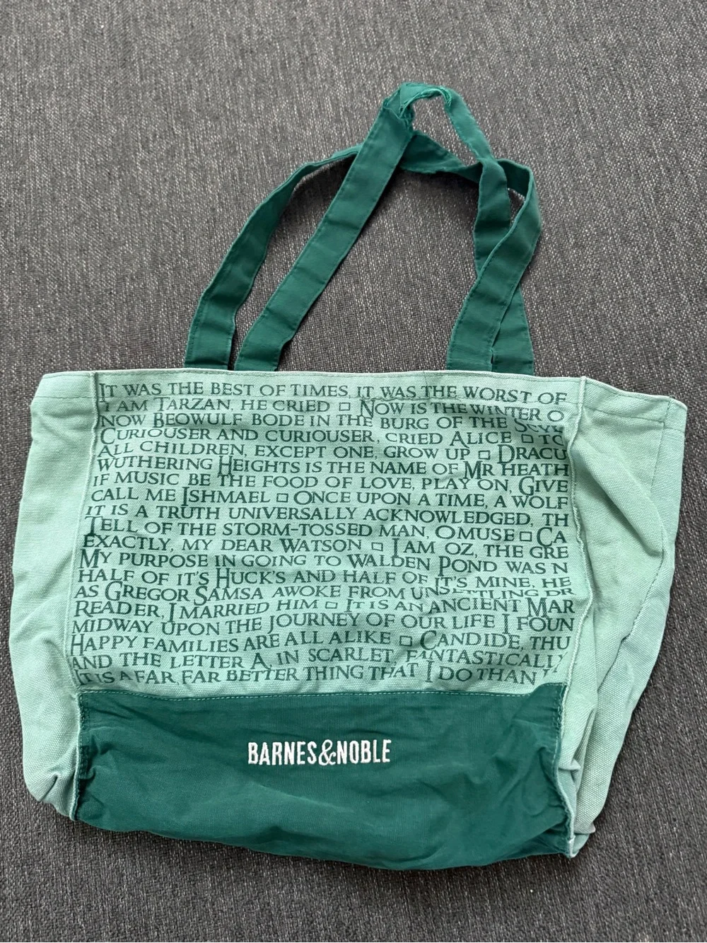 Barnes & Noble Two-Tone Green Canvas Tote retro embroidered classic